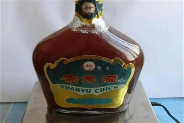 鼋鱼酒 昌黎鼋鱼酒