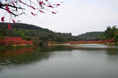 湖面