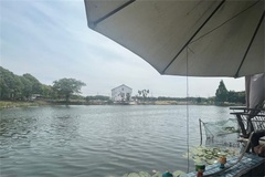 湖面