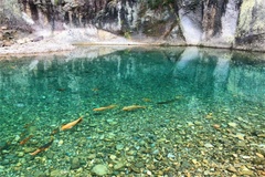 附近湖水