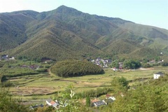 山景