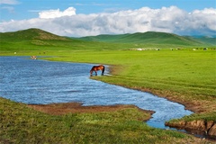 风景
