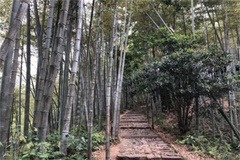 古道