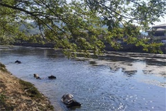 河道