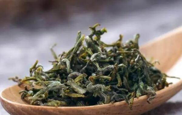 崂山绿茶 崂山绿茶茶叶