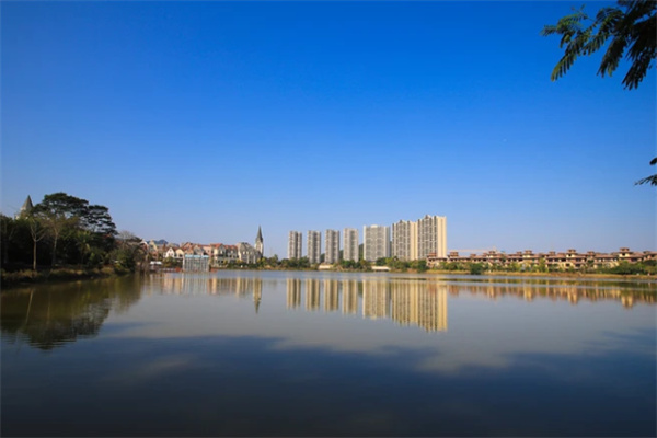 佛山爱丽丝庄园:梦幻奇遇与童真探险的奇妙乐园 天鹅湖