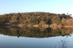 风景如画