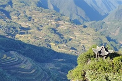 梯田