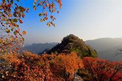 景色
