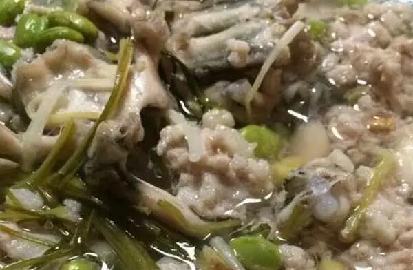 棘胸蛙 美味的石蛙