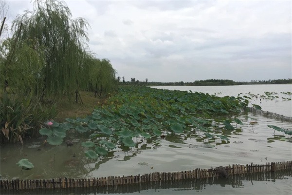 远离喧嚣,寻觅宁静——探秘湖州长兴仙山湖 仙山湖景区