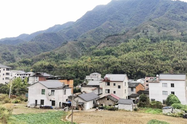 临安湍口“醒山书院”,养心养生好去处 临安湍口村庄