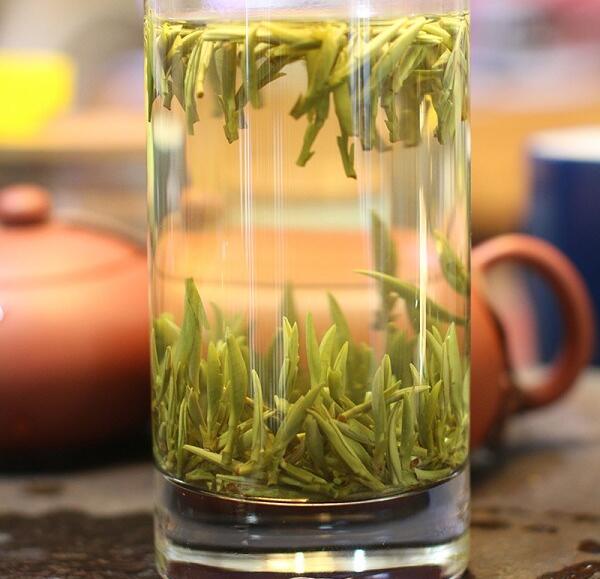 龙谷茶 泡开的龙谷茶