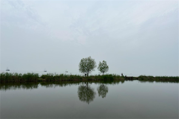 秋日来长兴湖滨公园,感受岁月静好 太湖