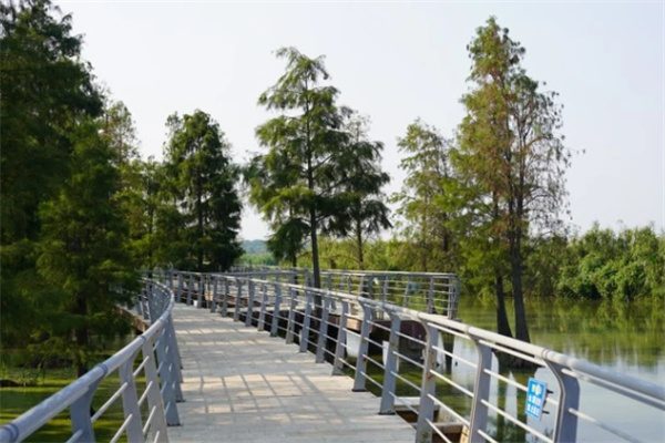 秋日来长兴湖滨公园,感受岁月静好 湖滨公园