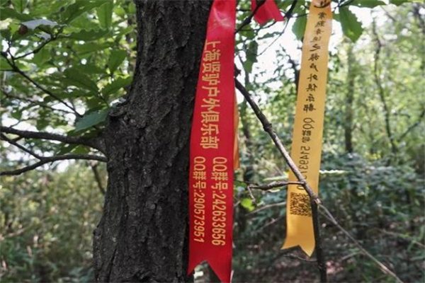 穿越贡茶古道,探寻千年茶文化的山林秘径 古道上的飘带