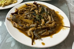 河鱼