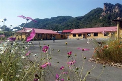 庭院