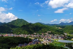 景色