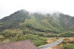 山林