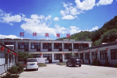 红叶农家院 红叶农家院全景