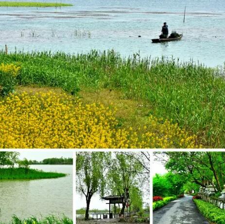 来这个小岛吧,它带给你无尽欢快时光 东山美景缩影