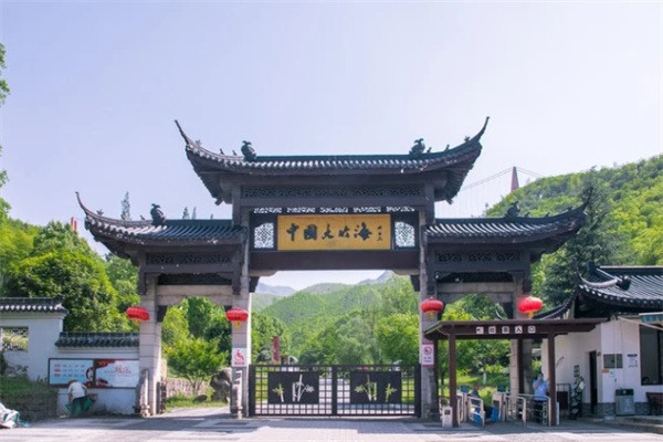 清凉竹海,梦幻仙境——浙江安吉大竹海景区游记 中国大竹海
