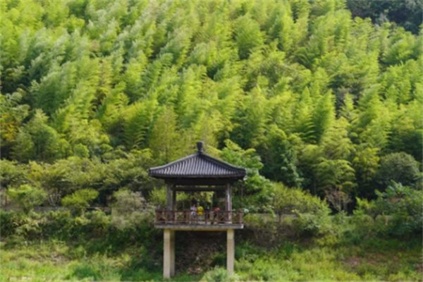 长兴水口乡顾渚村,来一趟青山绿水间的宁静之旅 水库风景