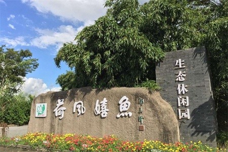 荷风嬉鱼生态度假村 荷风嬉鱼生态度假村全景