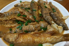 小溪鱼