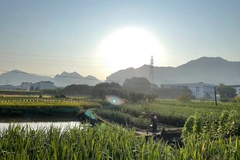 田园风光