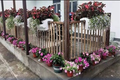 小花园