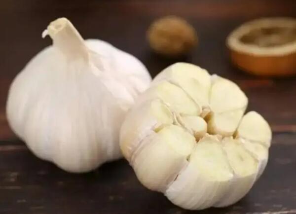 太仓白蒜 两个太仓白蒜