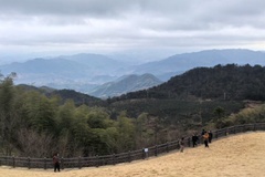 附近景色
