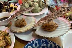 蚌壳