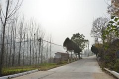道路