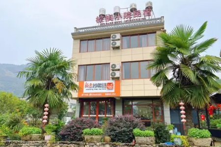 棕榈小院民宿 棕榈小院民宿全景