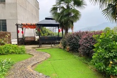 院子休闲处