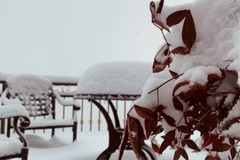 雪的世界