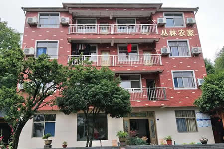 丛林农家 已认证 丛林农家全景