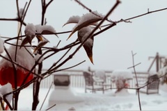 安吉雪景