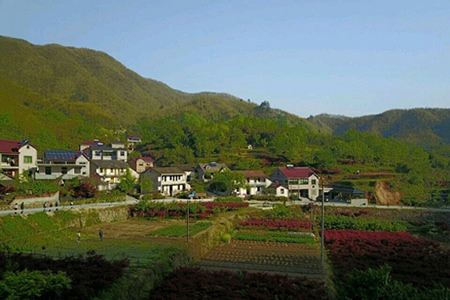 慧居民宿 已认证 慧居民宿全景