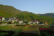 慧居民宿 已认证