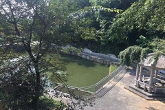 池塘