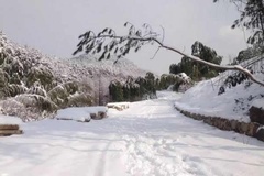 山中雪景