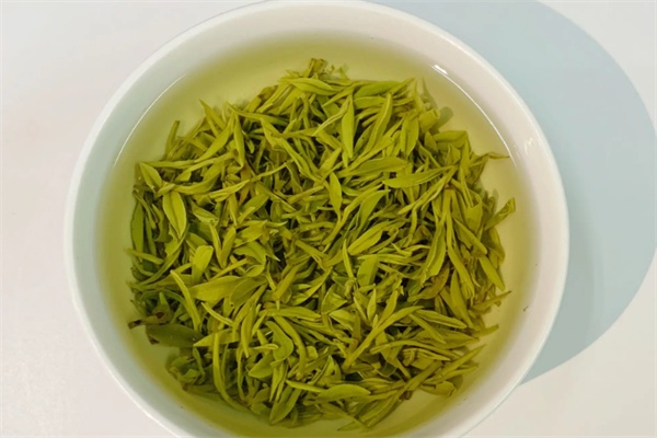 莫干黄芽 莫干黄芽茶
