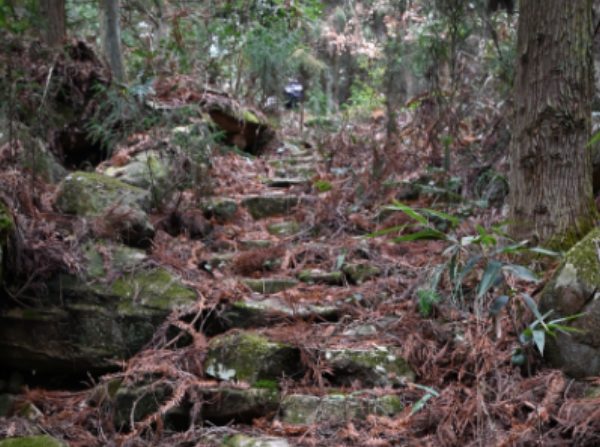 安吉“四普新文物之南坞山古道 古道台阶