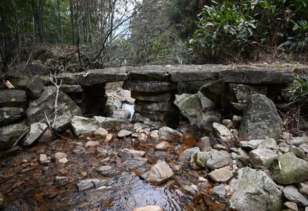 安吉“四普新文物之南坞山古道 古道石桥