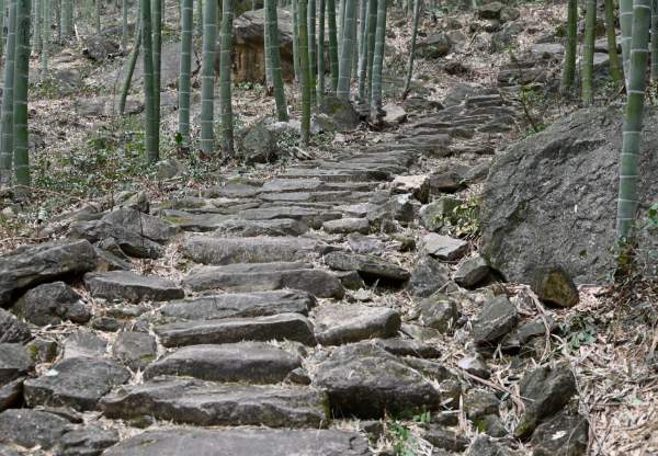 安吉“四普新文物之南坞山古道 南坞山古道