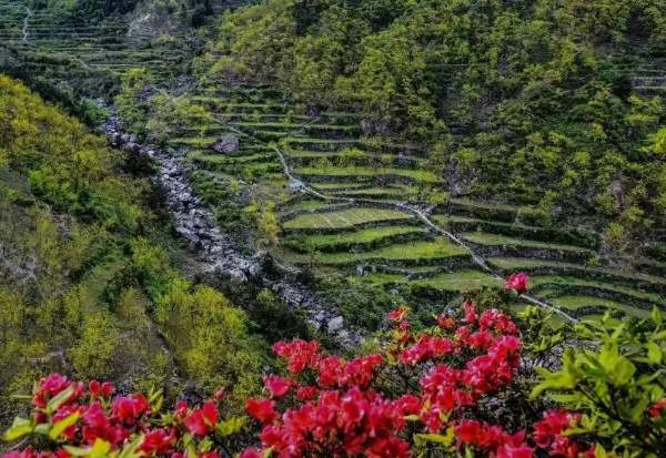 百丈岭的另一种打开方式 百丈岭古道